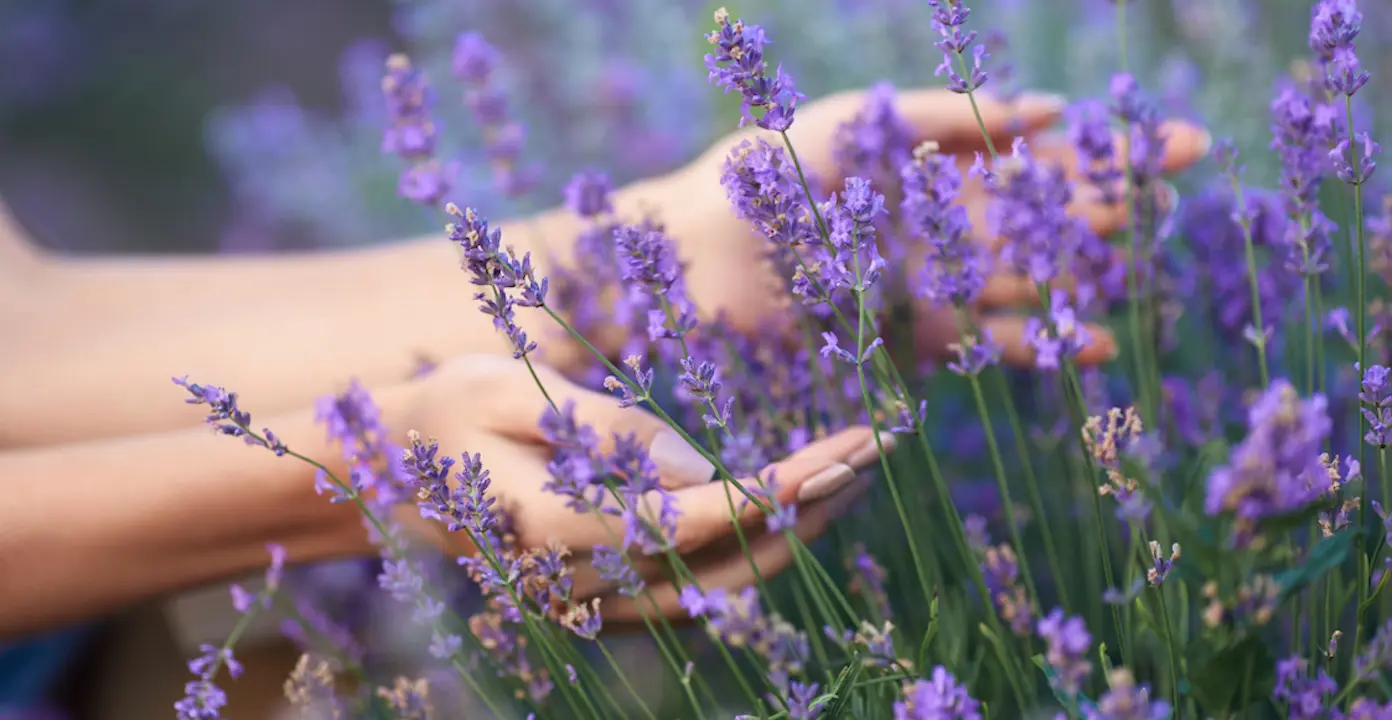 Lächelnde Frau, die positive Veränderung nach einem CQM-Coaching bei Paulina ausstrahlt.