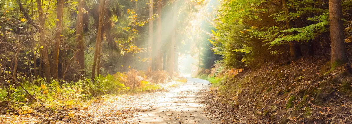 Strahlende Frau, die wiedergewonnene Lebensfreude durch CQM Sitzungen bei Paulina zeigt.